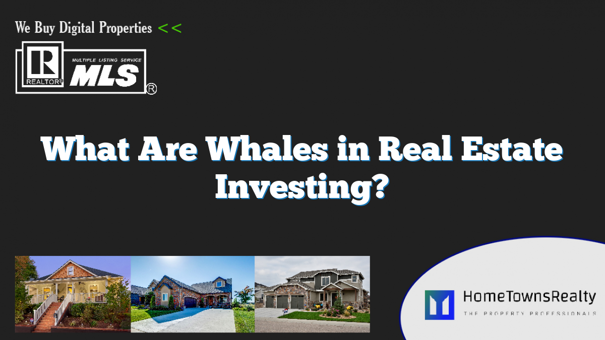 What Are Whales in Real Estate Investing?